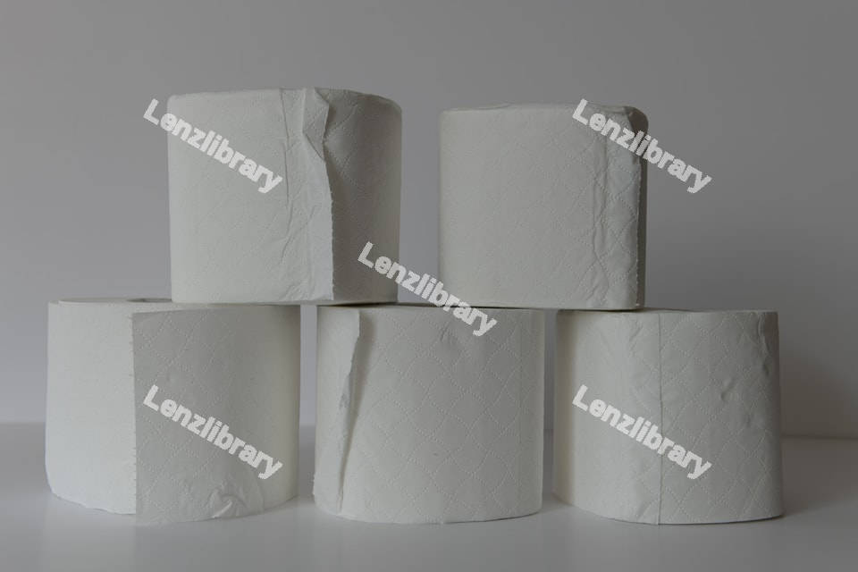 Stacked toilet paper rolls
